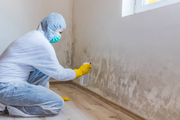 Bathroom Mold Removal assessment in Willow Springs bathroom