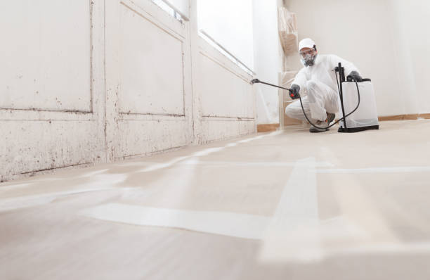 Post-remediation clearance in Willow Springs